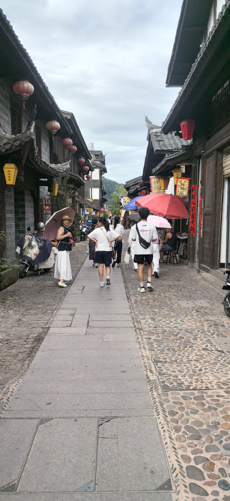 IMG_20250719_094311.jpg IMG_20250719_094311.jpg