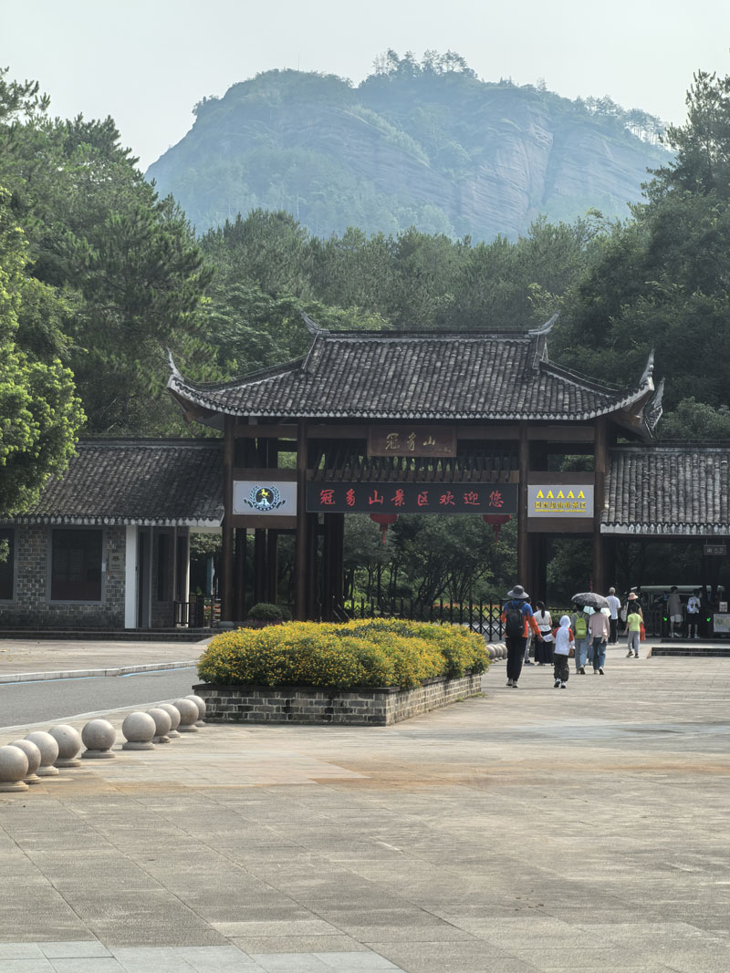 IMG_20250717_083915.jpg IMG_20250717_083915.jpg